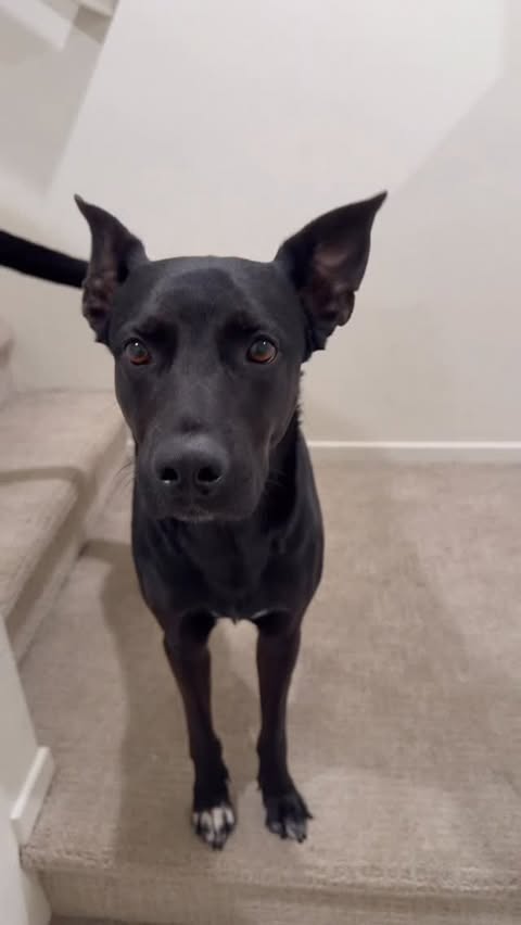 Instagram post by @alyssaasalazar_ for Jinx. Caption reads: [...] deserve the best this year with @thinkjinx....