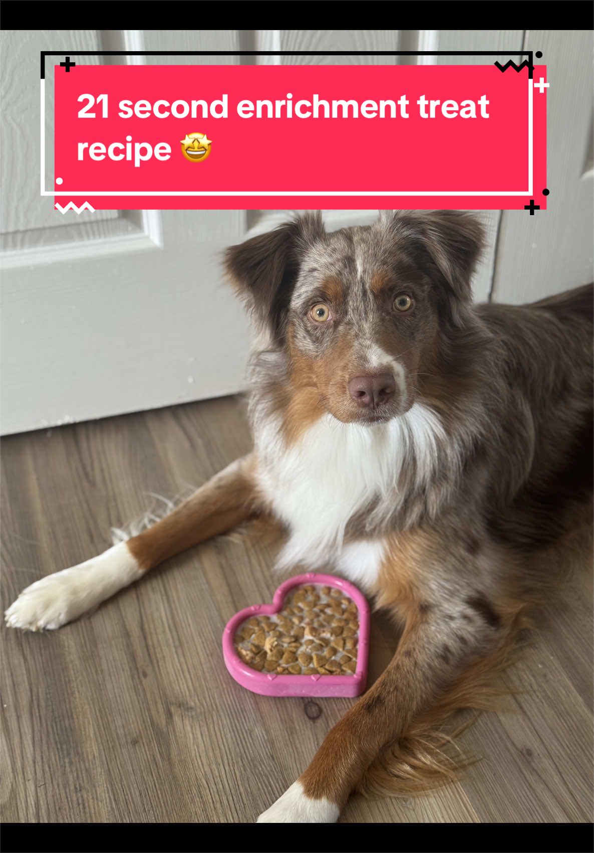 TikTok post by @baloo_the_aussie for Freezbone. Caption reads: 21 second and 3 ingredient @Freezbone #freezheart....