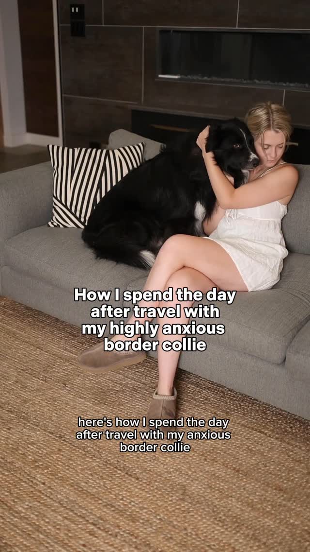 Instagram post by @curedbydogs for NutriSource Pet Foods. Caption reads: Travelling with an anxious dog is not easy… for....