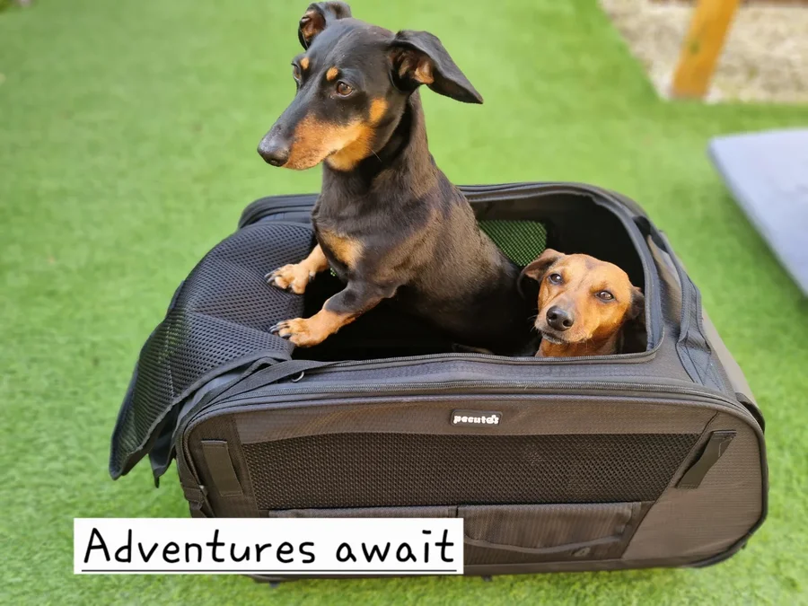 Instagram post by @claude.and.keith for Pecute. Caption reads: [...] go ?? 

We have all the gear thanks to....