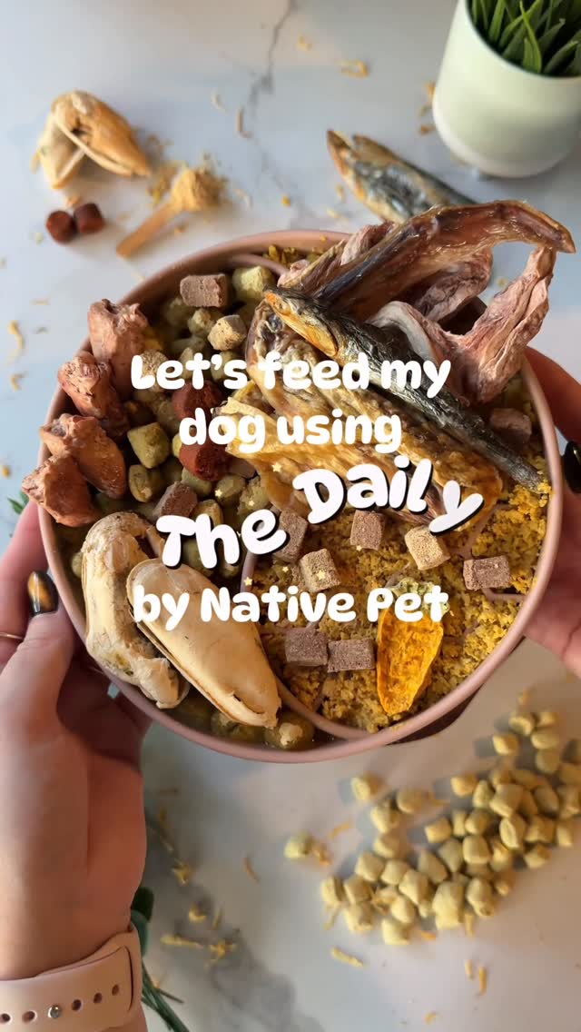 Instagram post by @hoogie_bear_ for Native Pet. Caption reads: [...] all-in-one supplement for your dog?....