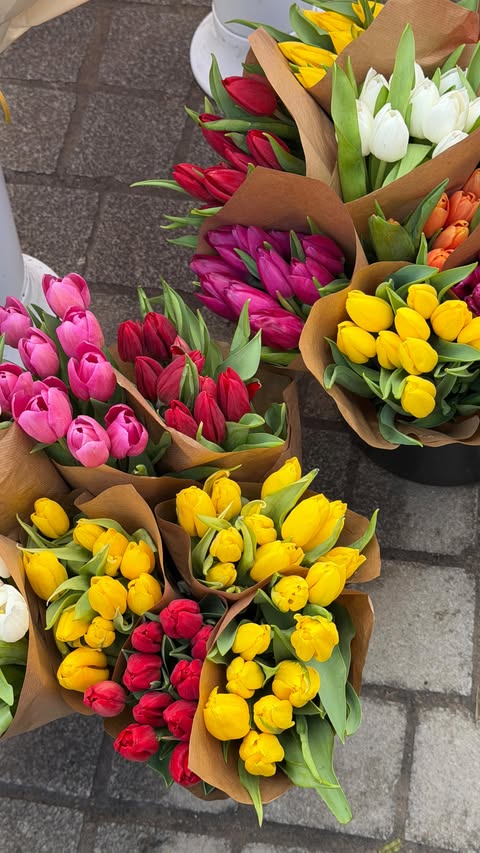 Instagram post by @cvrlaprz for Spartoo. Caption reads: [...] do a grwm in the forest with my new bag....