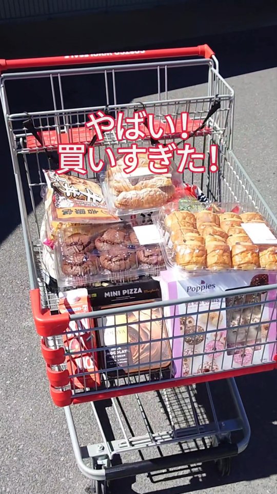 Instagram post by @sayu_costco for IRIS OHYAMA. Caption reads: 【セカンド冷凍庫持ってる？】
＼"お得"と"トレンド"発信中🔊／

見逃したくない人はフォロー必須....