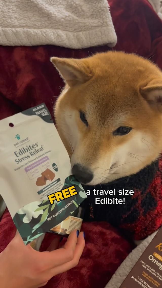 Instagram post by @levi_shiberman for Pet Releaf. Caption reads: [...] rotten during the holiday season! .....