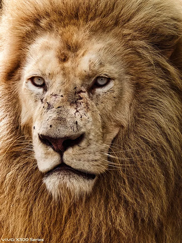 Instagram post by @audiphotography for Vivo. Caption reads: [...] that just blow my mind. Shot these on my....