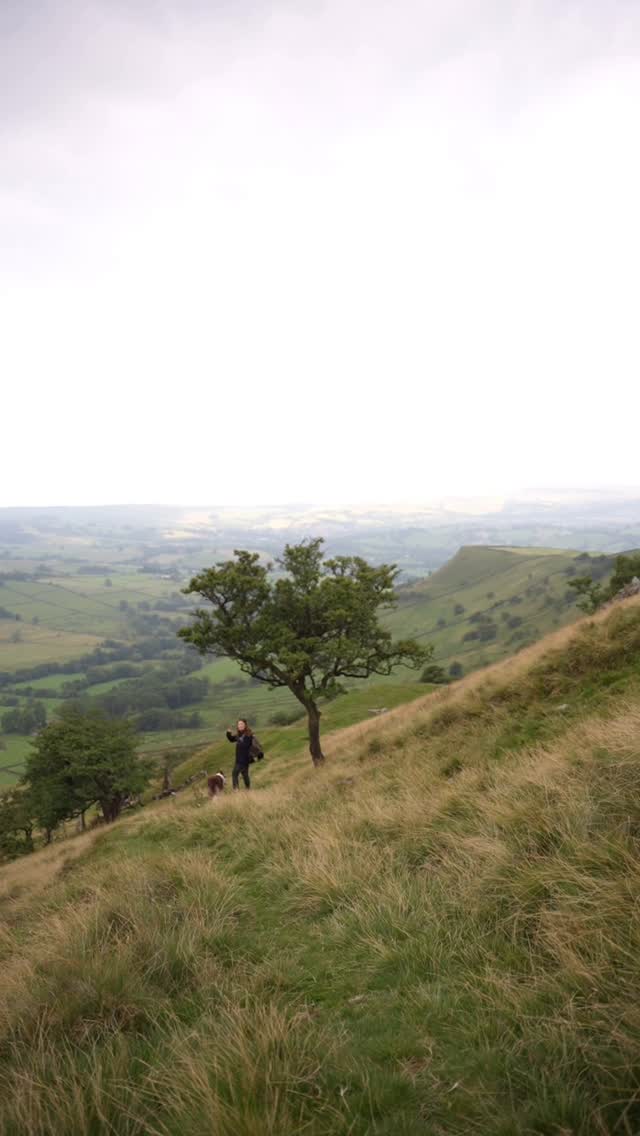 Instagram post by @pippaontheprowl for Arden Grange. Caption reads: AD | come join us on a little local ‘dognic’, I’d....