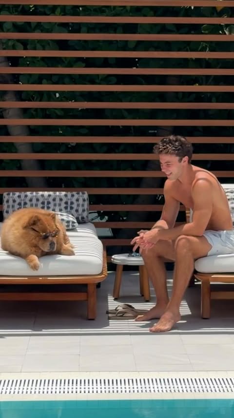 Instagram post by @harryraftus for Native Pet. Caption reads: Dog Dad Summer 🐕🕶️ @nativepet #nativepetpartner.