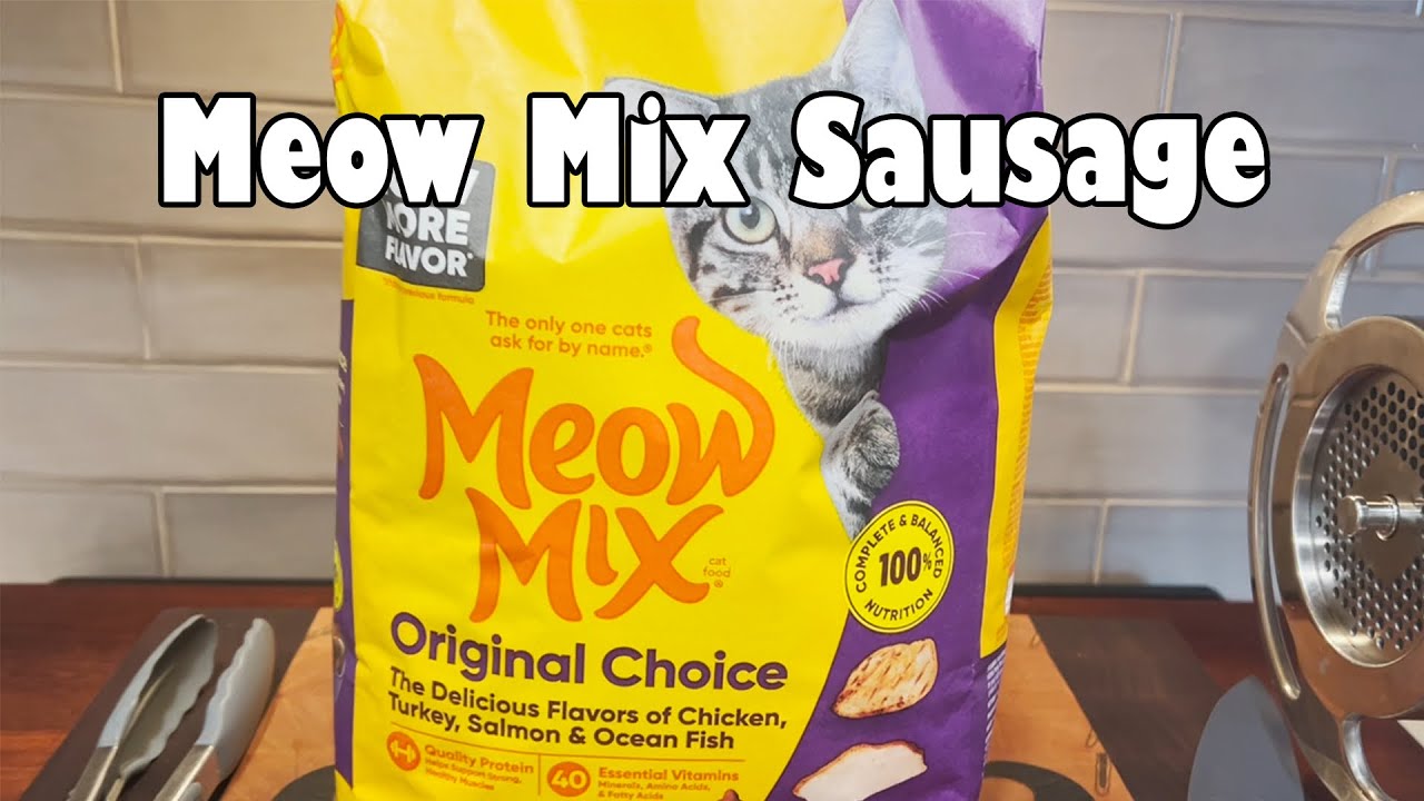 YouTube post by @OrdinarySausage for Helix Sleep. Caption reads: Honey Wake Up, He’s Making Cat Food Sausage Again.