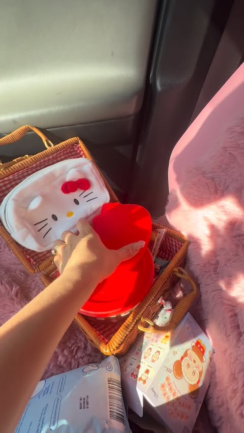 Instagram post by @daisy_and_duke_vintagetrailers for Sanrio. Caption reads: ‘Twas a fun day 💕✨#ilsefied....