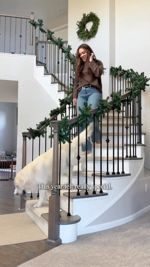 Instagram post by @louiethecream for The Farmer's Dog. Caption reads: [...] (& good food!) :) #TFDPartner....