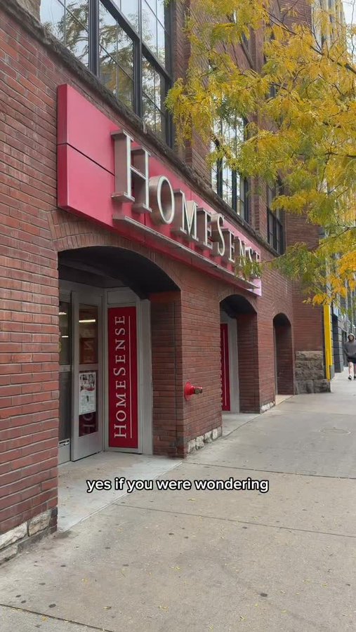 Instagram post by @natdoumkos for HomeSense. Caption reads: #ad Are you also a holiday head starter? Picking....