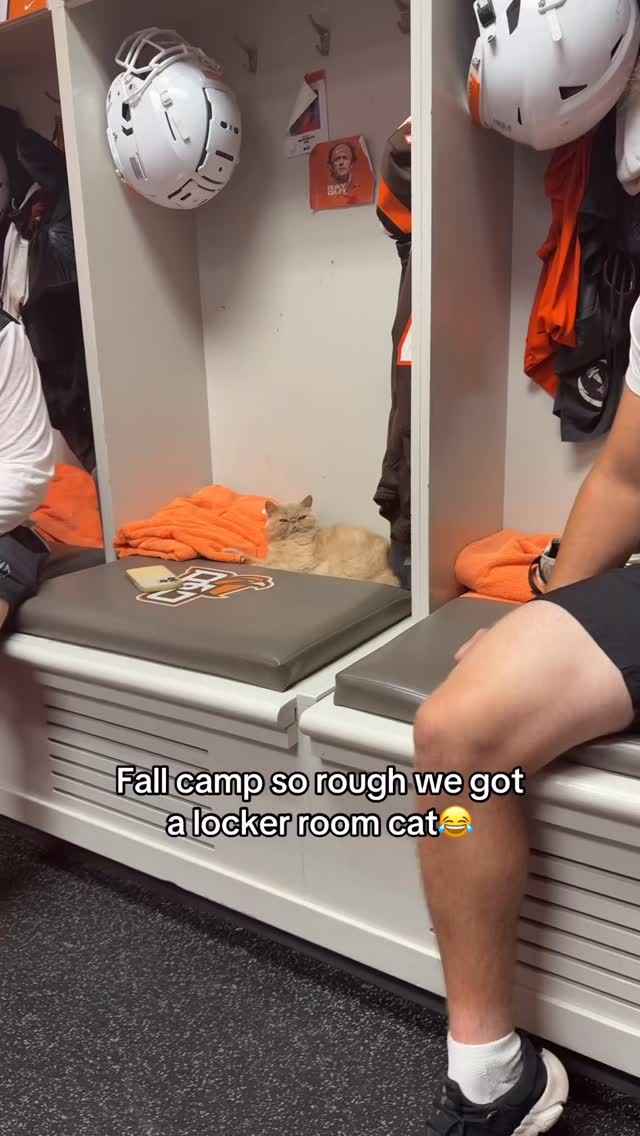 Instagram post by @finneashogan for Whistle. Caption reads: Is the Cat in camp too? 😂

(via @finneashogan).