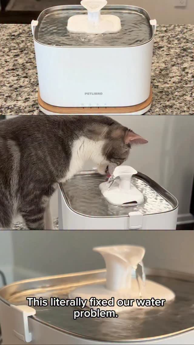 Instagram post by @samcyildiz for Petlibro. Caption reads: Keeping your pet hydrated has never been this easy....