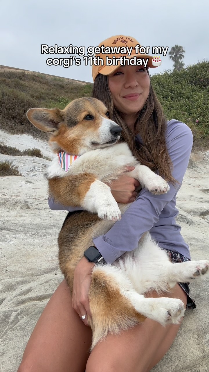 Instagram post by @bradythecorgi for HotelTonight. Caption reads: #ad Sometimes the best birthdays aren’t about....