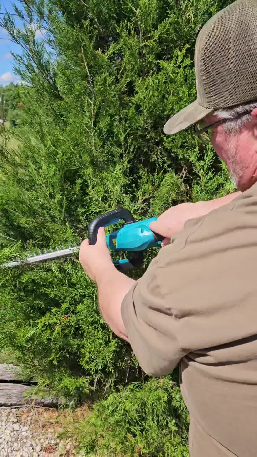 TikTok post by @shanewilliams969 for SeeSii. Caption reads: Seesii Pruning Combo !! #yardwork #landscaping....