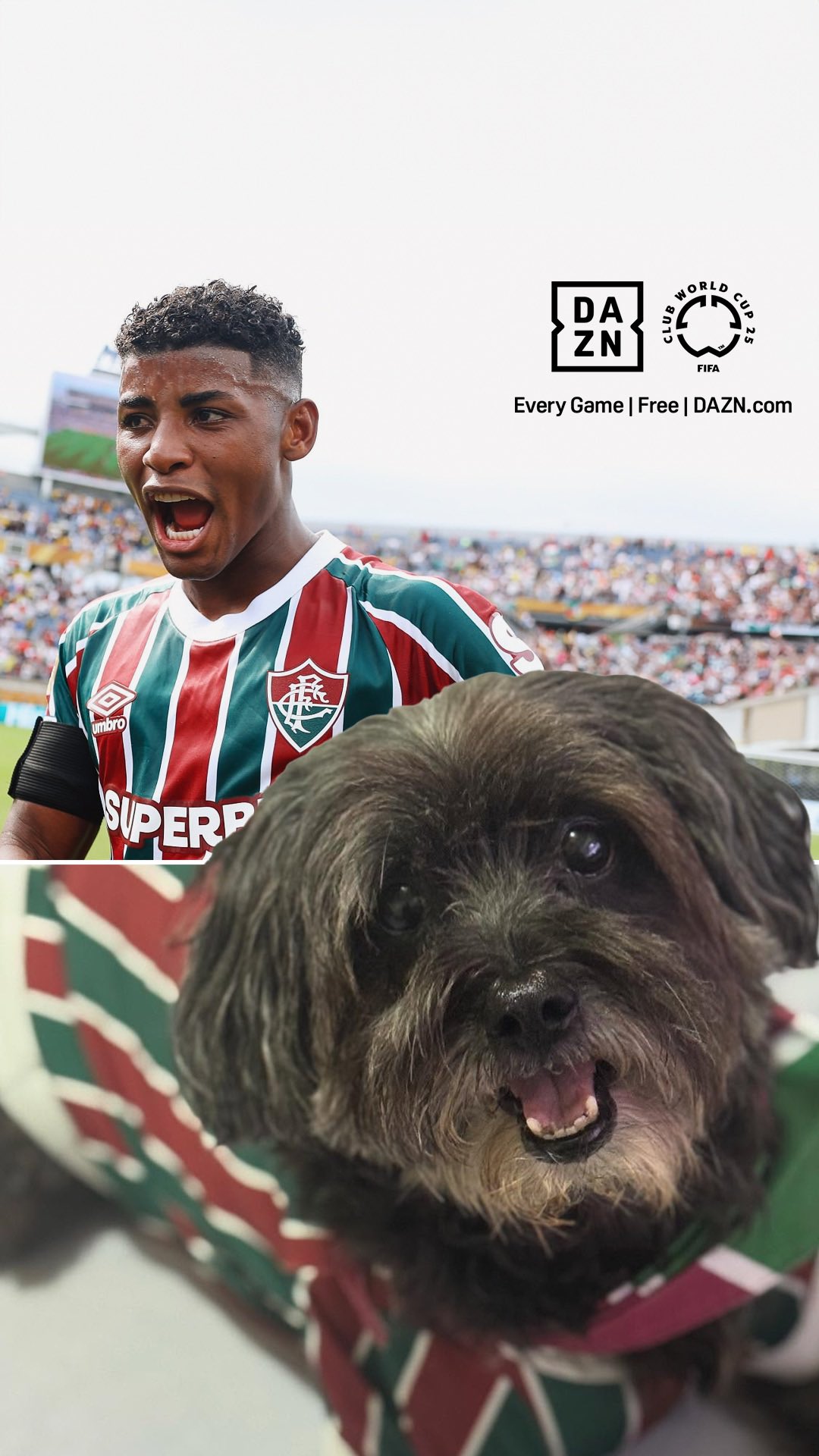 Instagram post by @pretinhadogtricolor for Whistle. Caption reads: When Fluminense scores, Pretinha celebrates too....
