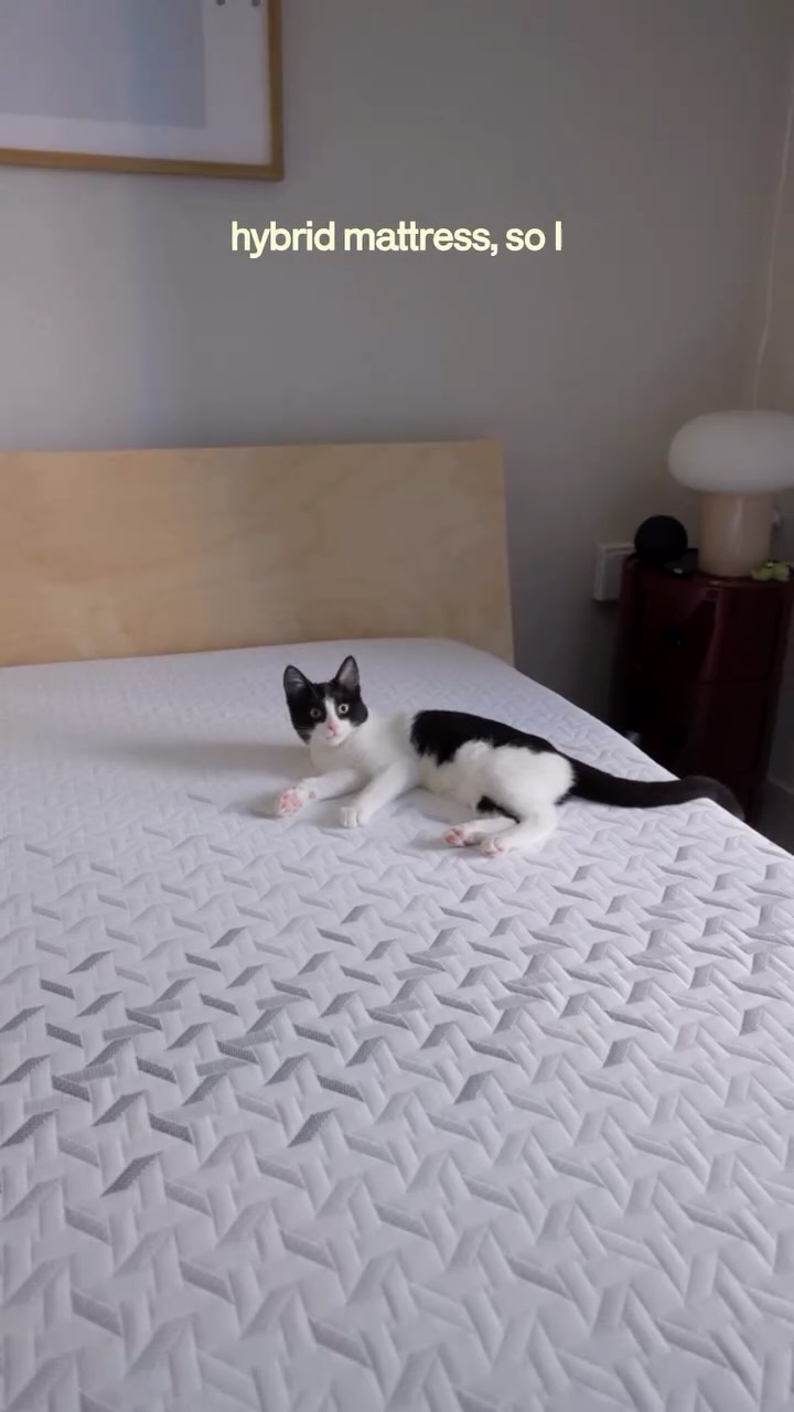 Instagram post by @dbriannguyen for Nectar Sleep. Caption reads: [...] lol. finally decided to invest in the....