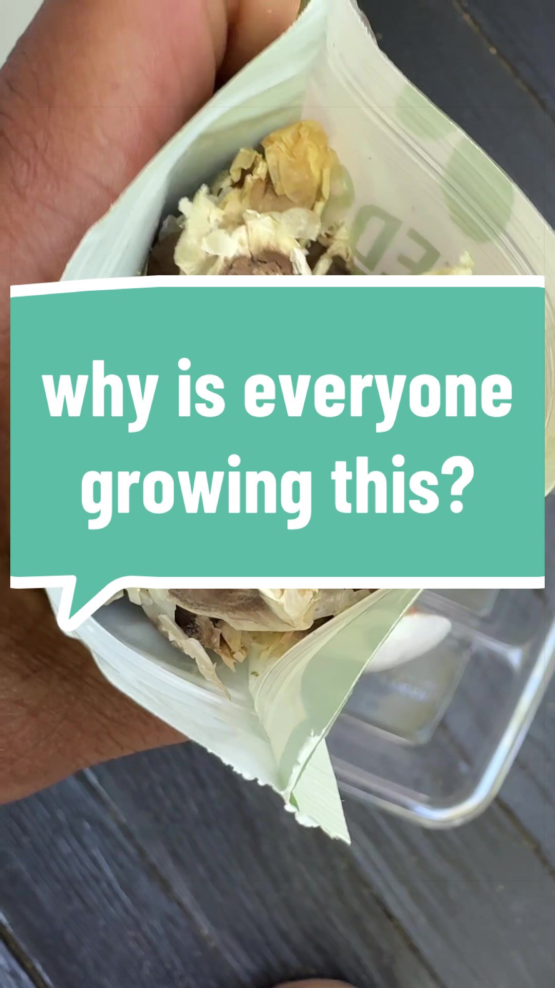TikTok post by @sonnsonn2.0 for MoringawithBarry. Caption reads: [...] #growyourown #planttok @MoringawithBarry.