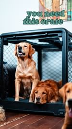 Instagram post by @kipandkaan for Diggs. Caption reads: Meet the crate every dog parent needs....