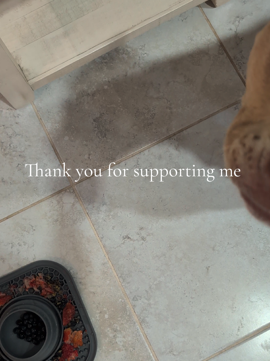 TikTok post by @jennifer_9805 for Hapwag Pets. Caption reads: [...] #dogsoftiktok #dogs @Jennifer @HAPWAG PETS.
