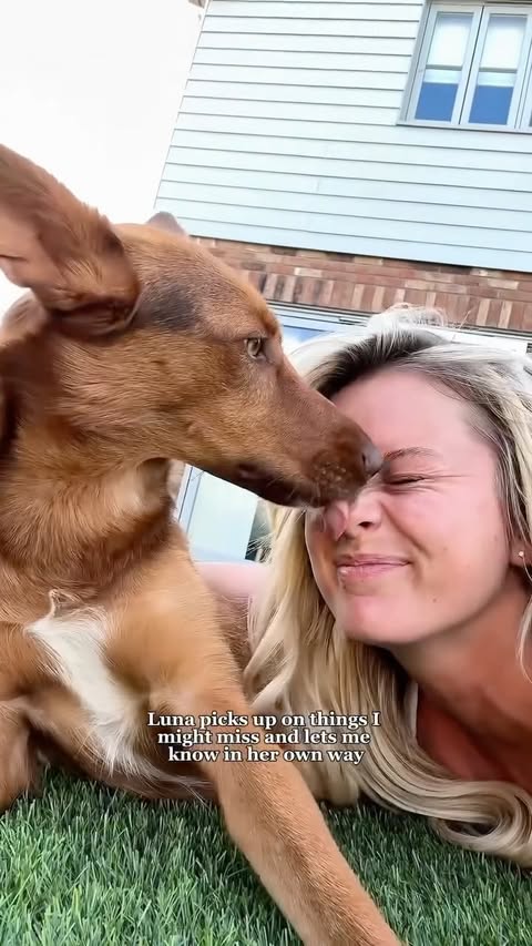 Instagram post by @tashaghouri for Pooch and Mutt. Caption reads: AD Luna isn’t just my dog, she’s my little....