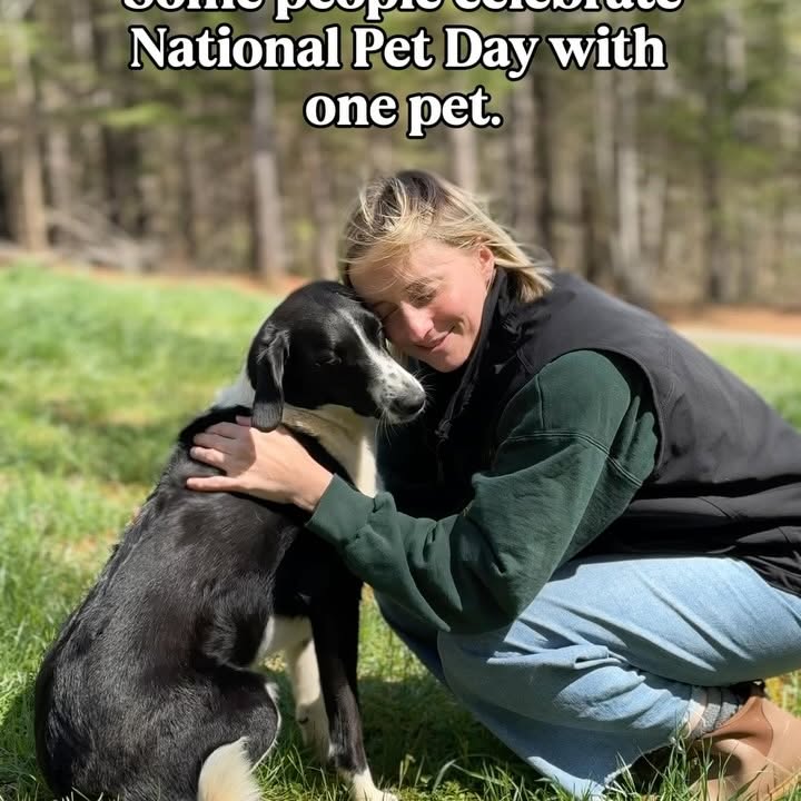 Instagram post by @the.littlecabinthatcould for Vetericyn. Caption reads: One pet turned into 30 real fast out here.....