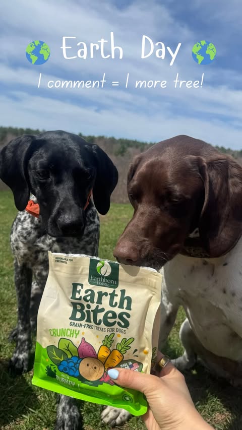 Instagram post by @gsp.sissys for Earthborn Holistic Pet Food. Caption reads: Drop a comment below and let’s plant some trees....