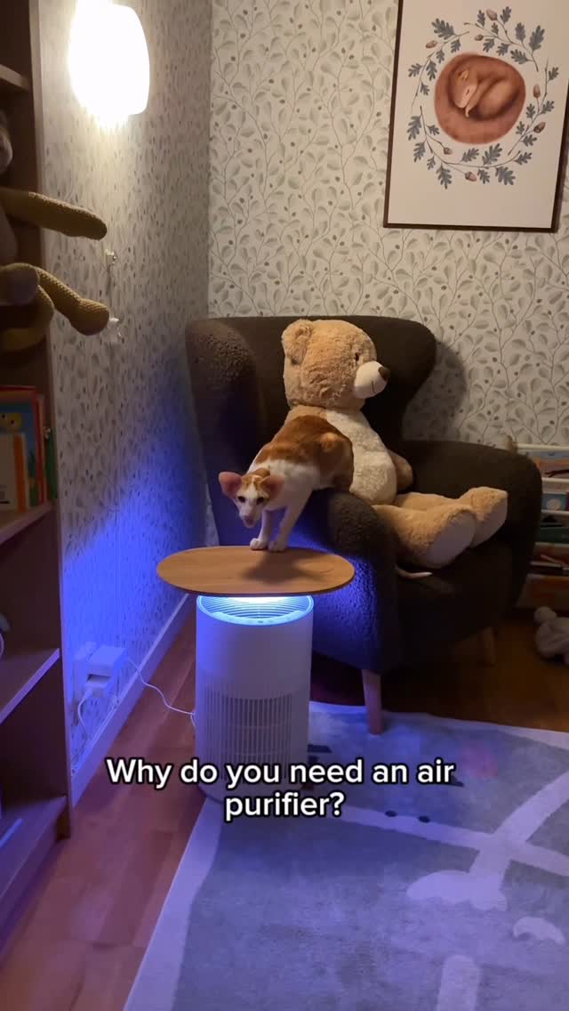 Instagram post by @orientalhonks for SwitchBot. Caption reads: [...] dust, odors… it’s all in there.....