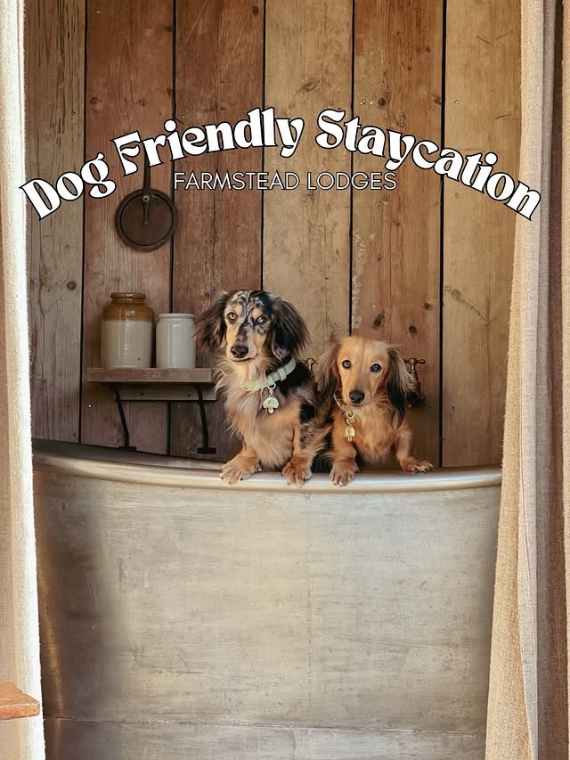 Instagram post by @lifewithdaxies for Dog Furiendly - Dog Friendly Places. Caption reads: 📌 save this for your next trip @farmsteadlodges....