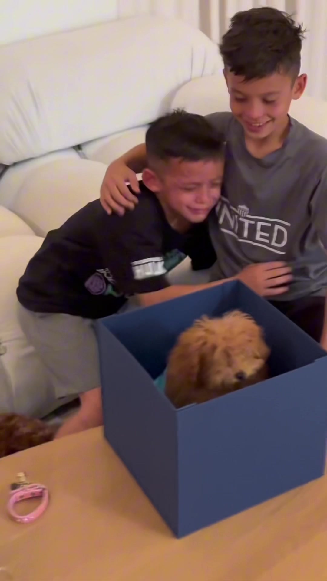 TikTok post by @sarah_stage for Expedia. Caption reads: First family vacation with Teddi 🐾 @expedia made....