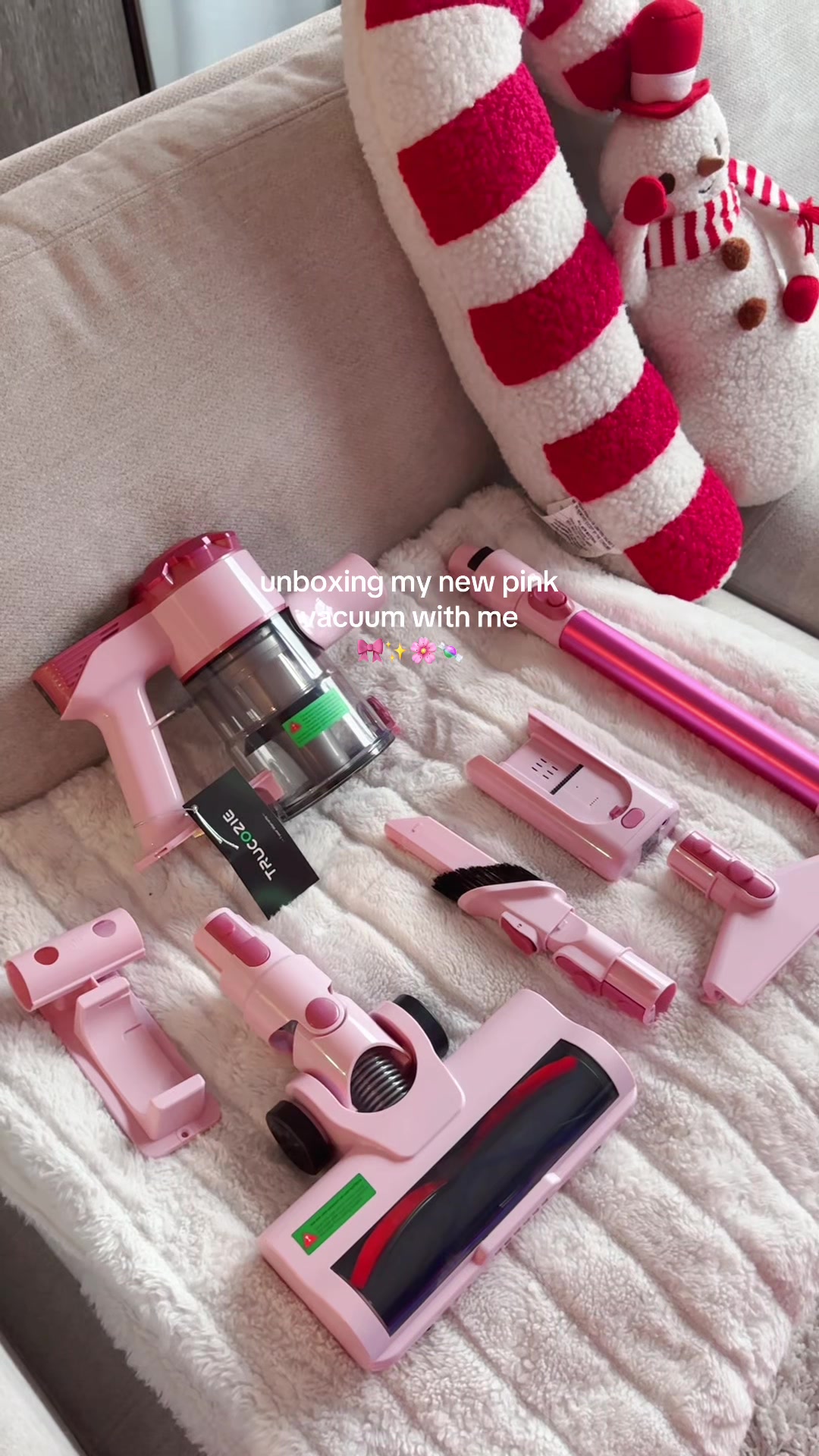TikTok post by @silv_rlv for Homeika. Caption reads: I’m obsessed with my new pink vacuum 🌸🫶 @Homeika....