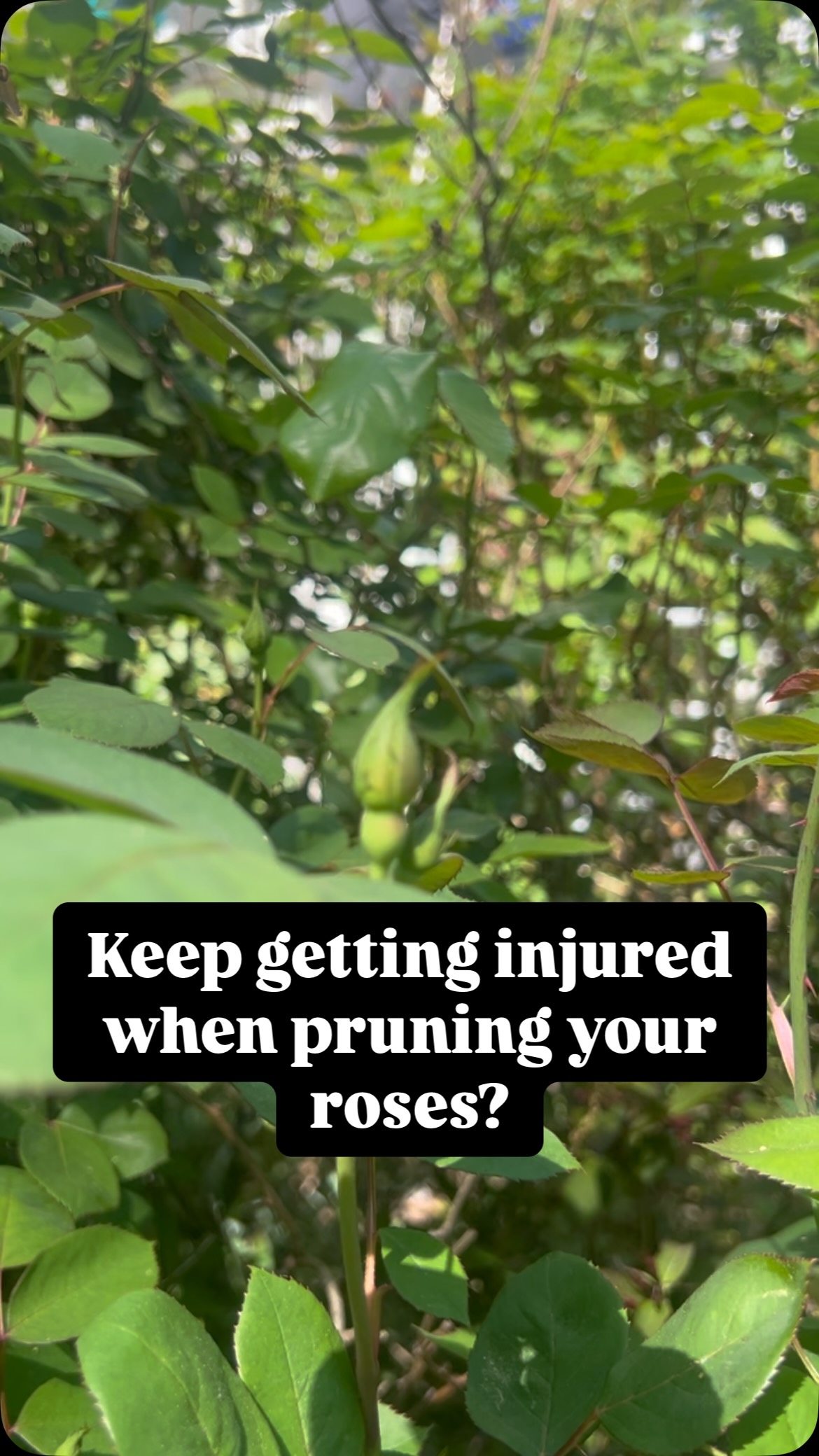 Instagram post by @warrenlewis_landscaping for Farmers Defense. Caption reads: [...] like me, these sleeves from @farmersdefense....