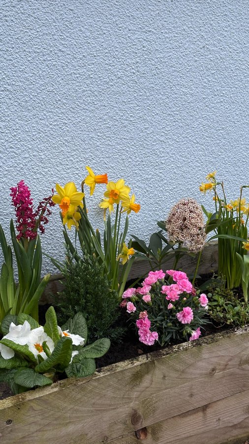 Instagram post by @bethanytrohear for Estella Bartlett. Caption reads: [...] vest @oliverbonas * 
Bracelet....