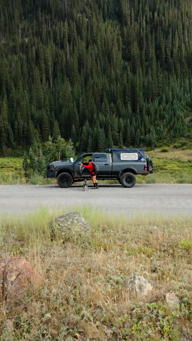 Instagram post by @apollointhewild for TuxMat. Caption reads: [...] been through it all. But thanks to....