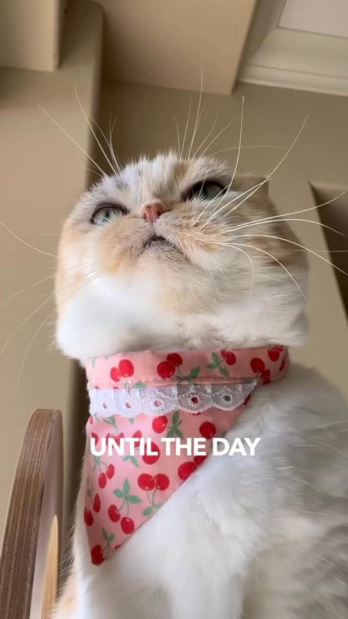 Instagram post by @hello_luna_rose for Litter-Robot. Caption reads: Rated F for Fresh. The Litter-Robot 5 changed....