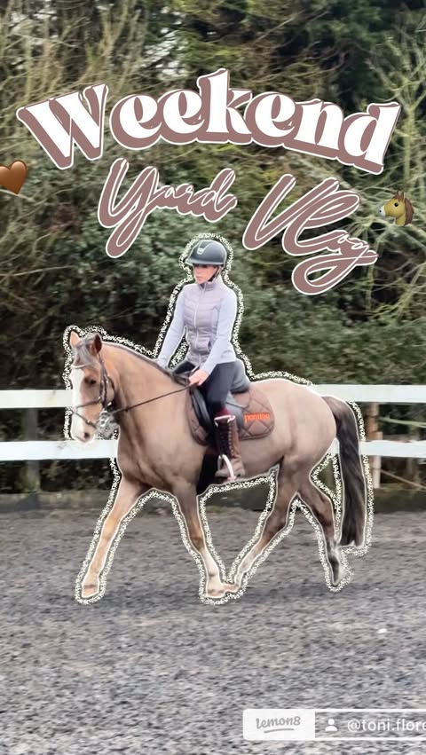 Instagram post by @toni.florentina for yfood. Caption reads: [...] he’s on haynet duty 🐴 Fuelled by @yfood....