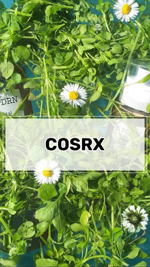 Instagram post by @jennifer__v__ for COSRX. Caption reads: [...] su @stylekorean_global [5 PDRN Set]....