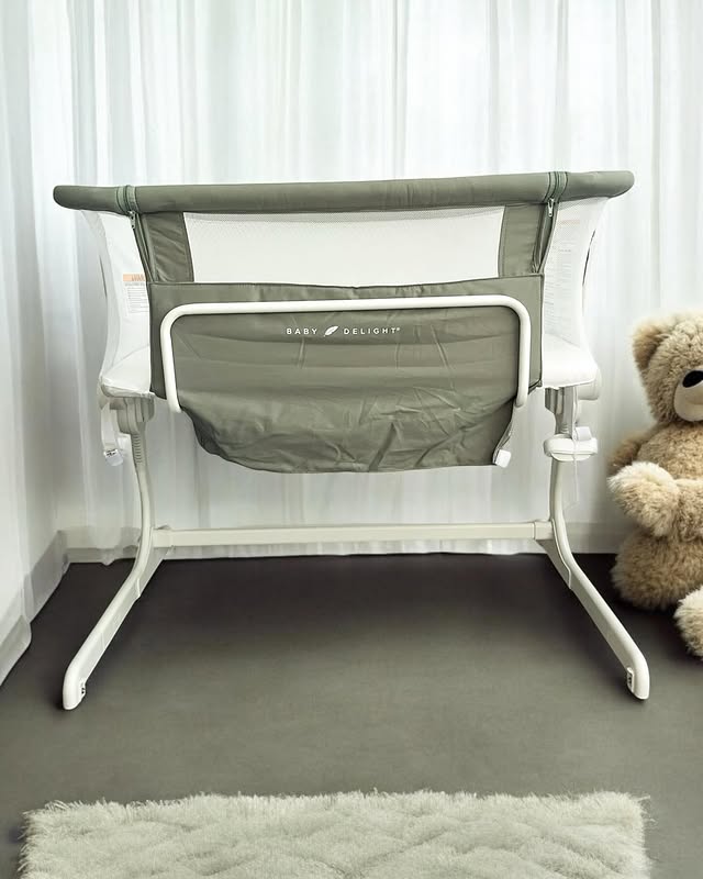 Instagram post by @brandy_reyes76 for Baby Delight. Caption reads: [...] for free from @influenster and....