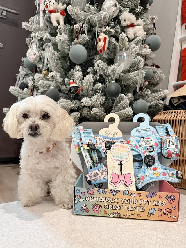 Instagram post by @mochi_the_poo for Sassy Woof. Caption reads: christmas came early this year...the @sassywoof....