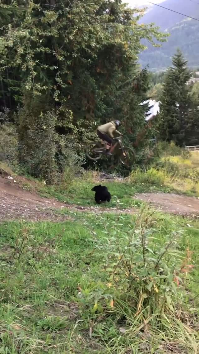 Instagram post by @reece_wallace for More Rewards. Caption reads: ✨ Why I Book with @more_rewards Travel ✨  Powered....