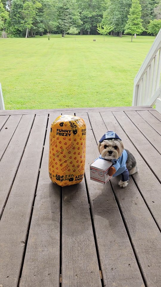 Instagram post by @mrthunderwink for FunnyFuzzy. Caption reads: [...] code 
ffthunder30 at checkout. 
#funnyfuzzy....