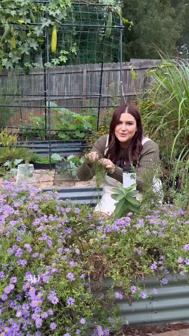 Instagram post by @meggrowsplants for Miracle-Gro. Caption reads: #ad Whatever type of gardener you are, @miraclegro....