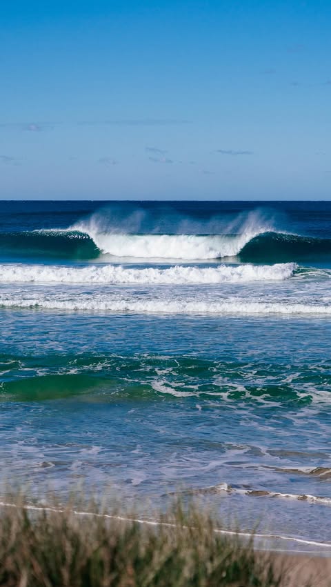 Instagram post by @surfingaus for Dometic. Caption reads: [...] @owright @vaughandeadly.

Chaos ensues on....