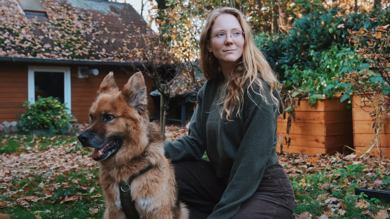 YouTube post by @rosagold for The Female Company. Caption reads: When the forest turns golden 🍁.