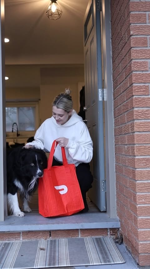 Instagram post by @curedbydogs for DoorDash. Caption reads: Some days are a bit overwhelming - for both of us.....