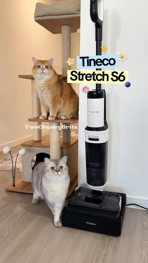 Instagram post by @twochunkybrits for Tineco. Caption reads: [...] is basically a full-time job 😂 This Tineco....