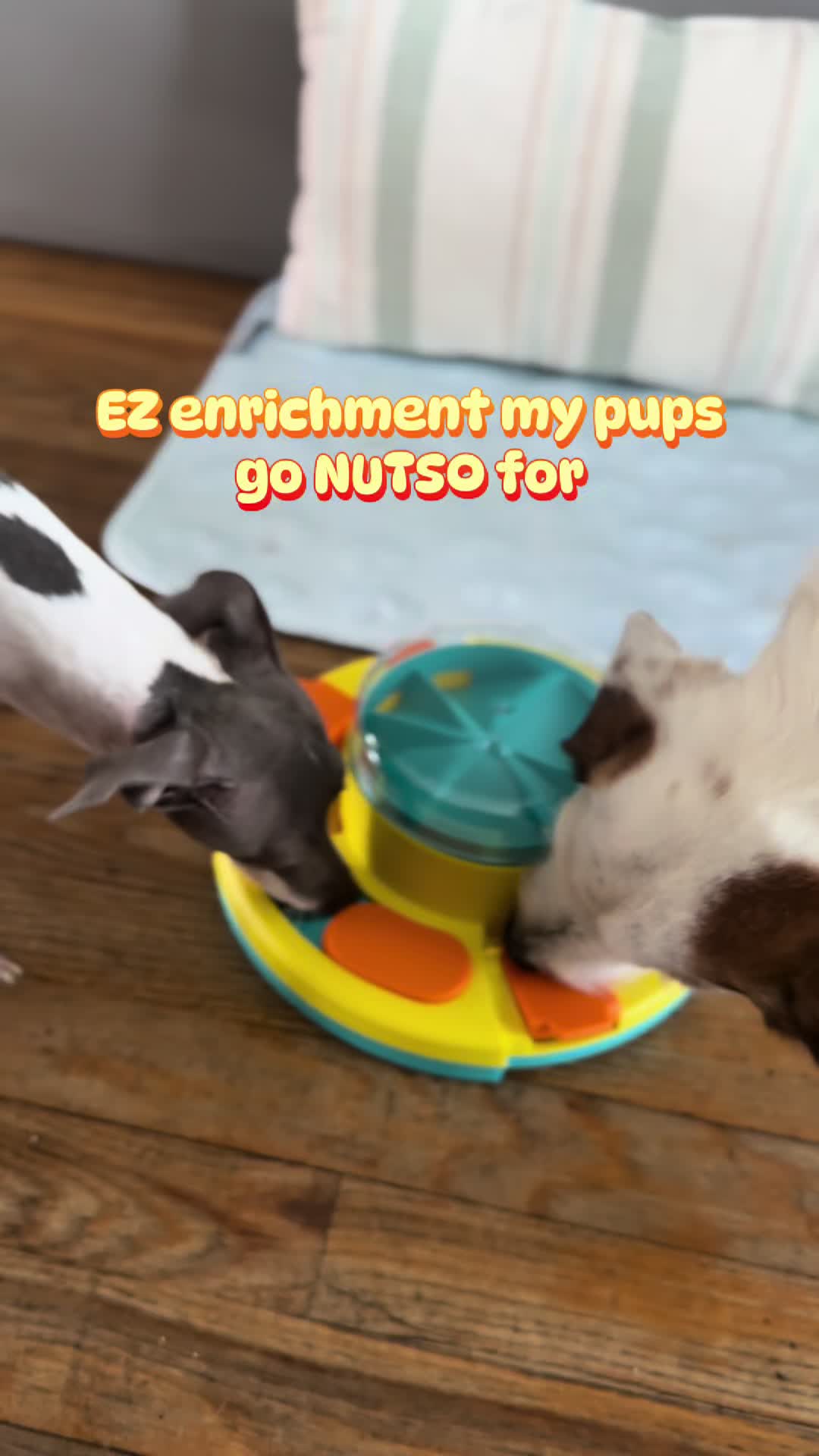 TikTok post by @bambi.la.iggy for Potaroma. Caption reads: [...] dogs are officially obsessed with this....
