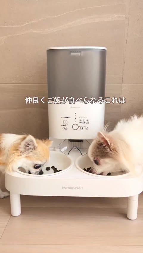Instagram post by @cohagi09291212.chihuahua for Homerunpet. Caption reads: [...] -------------------- 3チーが喜んで使っているのは....