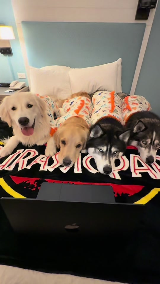 TikTok post by @imbluethesiberiann for Jurassic World. Caption reads: [...] #universalstudios #universalorlando....