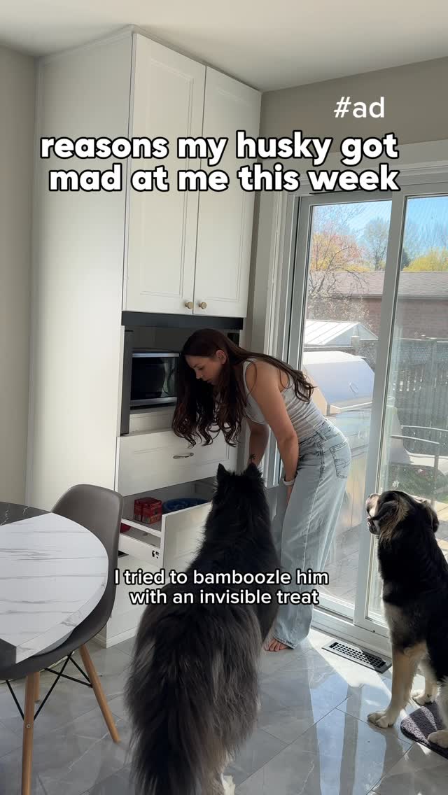 Instagram post by @levithehuskyrescue for PetSmart. Caption reads: [...] the invisible treats 🫣 grateful for....